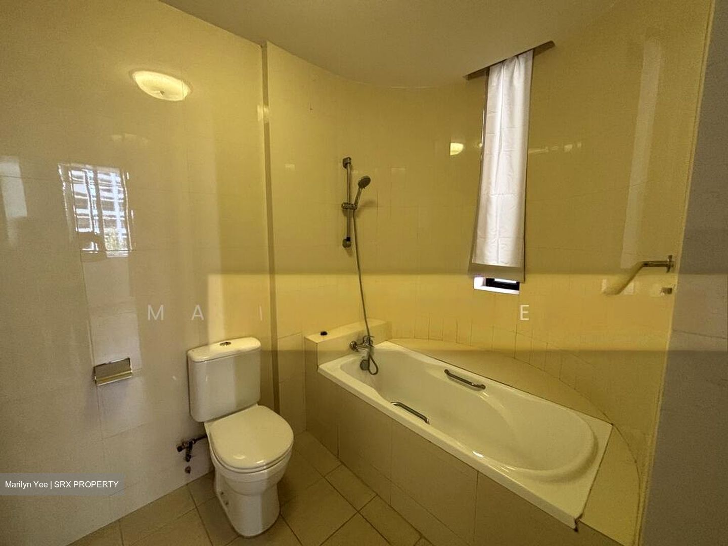 Horizon Towers (D9), Condominium #501791781